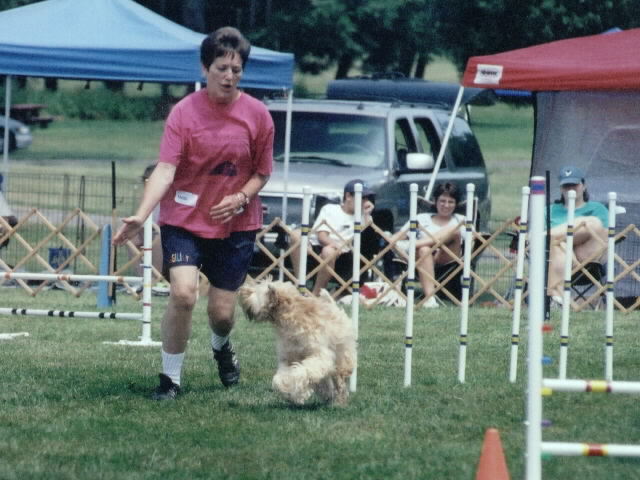 agility pic betsy 3