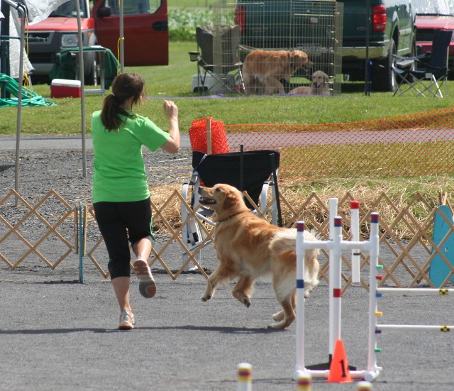 agility pic heather 3