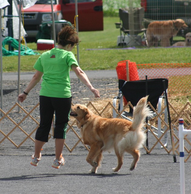 agility pic heather 4