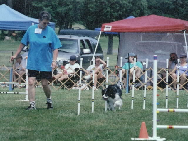 agility pic twist 1