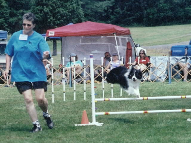 agility pic twist 2