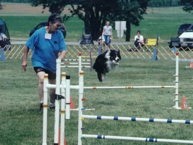 agility pic twist 3