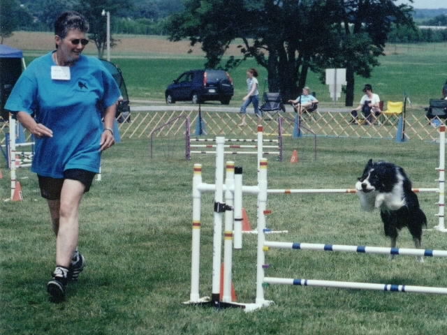 agility pic twist 4