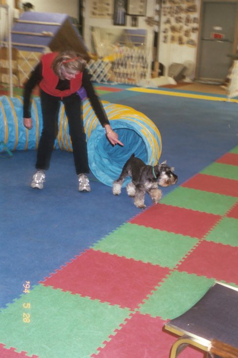 agility pic 3