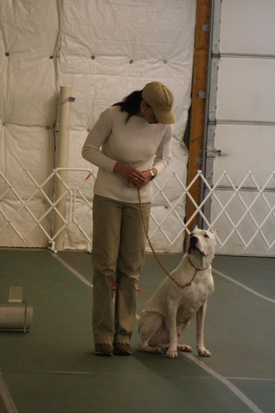 obedience pic 10